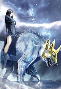 飞鸟纪
